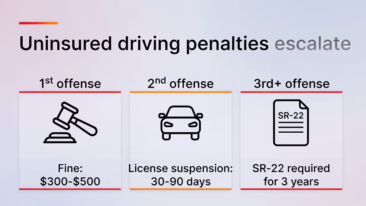 Infographic showing penalties increasing from first to third uninsured offense.